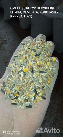 Зерносмеси для всех