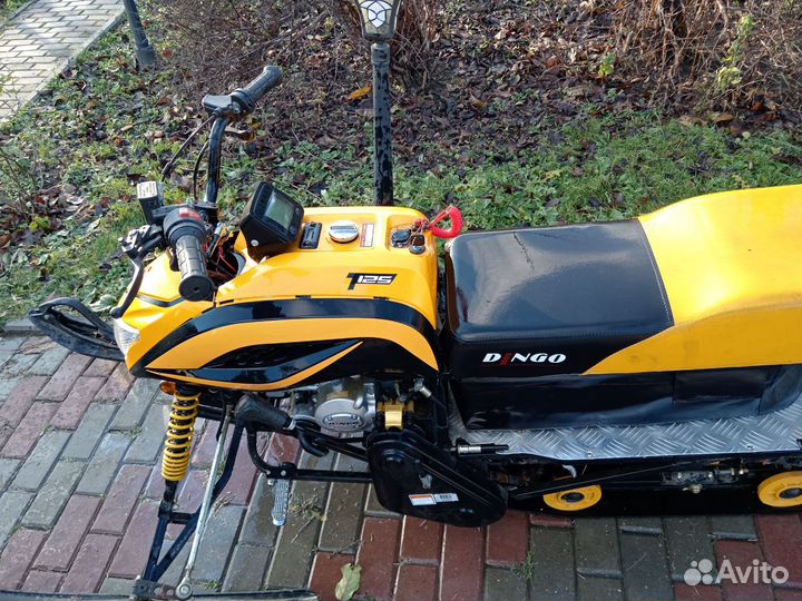Irbis dingo 125