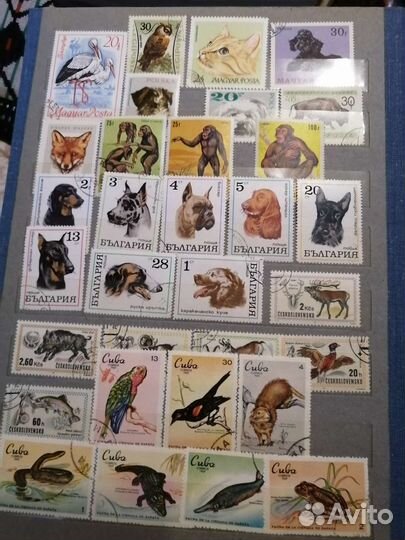 Почтовые марки СССР