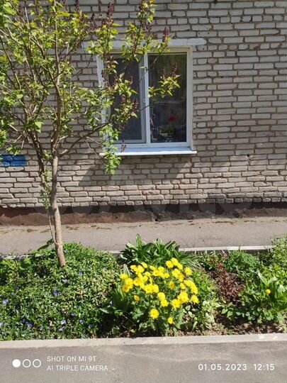 2-к. квартира, 40,7 м², 1/2 эт.