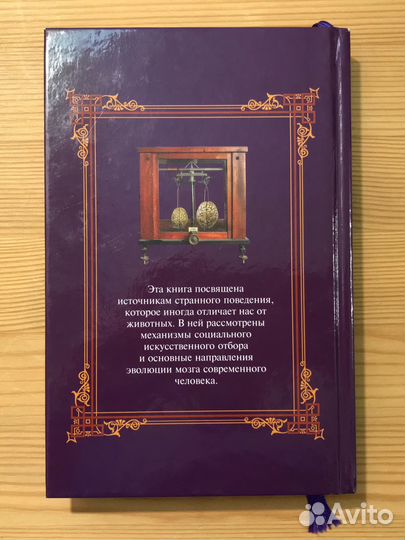 Церебральный сортинг. Сергей Савельев