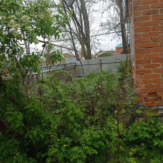 Дом 40,8 м² на участке 44 сот.