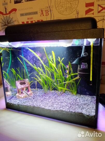 Аквариум