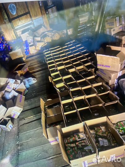 Корм китикет, влажный и сухой