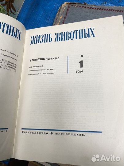 Книга Жизнь животных