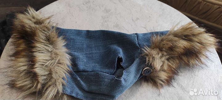 Куртка для кошки