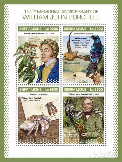 Сьерра-Леоне, 2018. (18909) Фауна, Д.Берчелл (мл+б