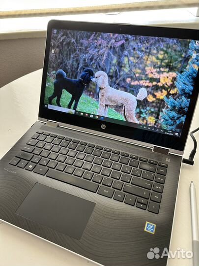 Hp Pavilion x360 14