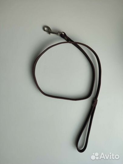 Разная амуниция для собак