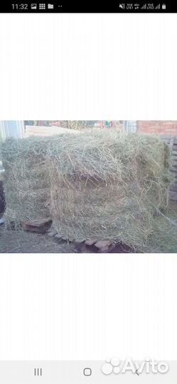 Сено в мешках с доставкой