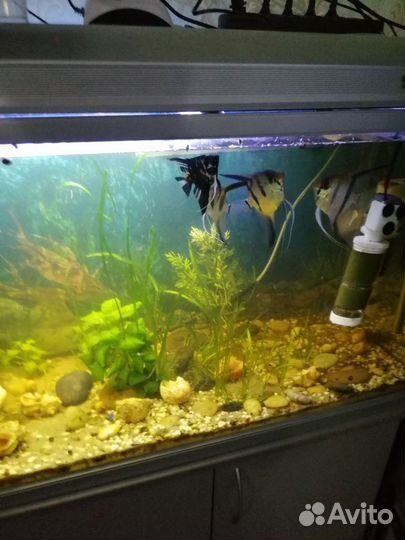 Украшение для аквариума