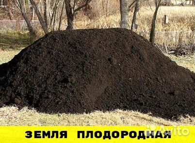 Земля плодородная