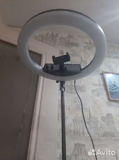 Кольцевая лампа RL 12-240