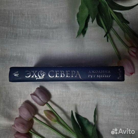 Книга Эхо Севера