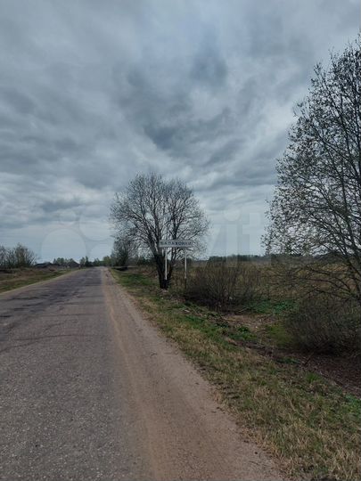 Участок 46 сот. (СНТ, ДНП)