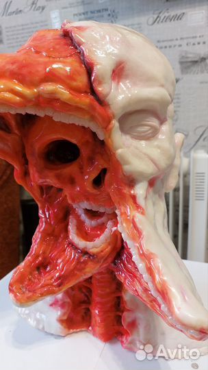 Зомби-мутант