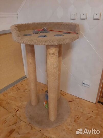 Когтеточка