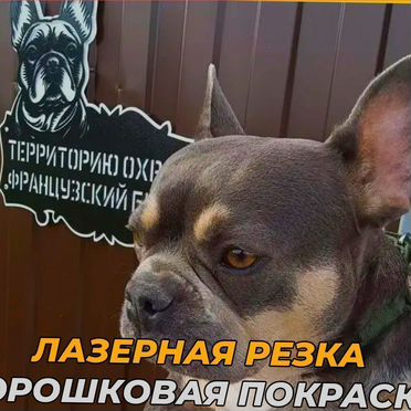 Уникальная табличка по фото животных
