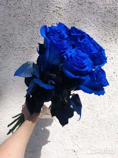 Синие розы