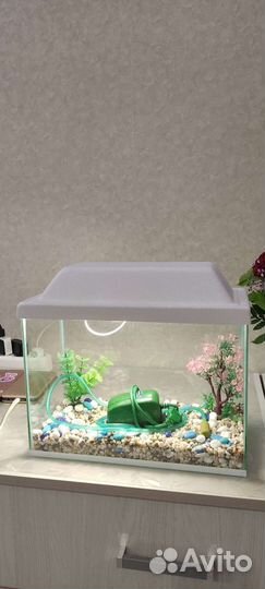 Аквариум