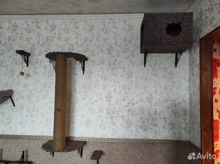 Комплекс для кошек, собак