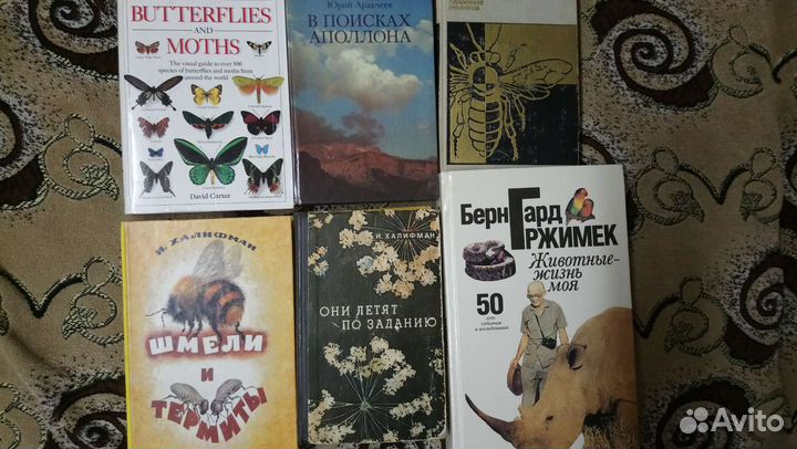 Книги, птицы, растения, насекомые