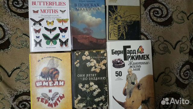 Книги, птицы, растения, насекомые