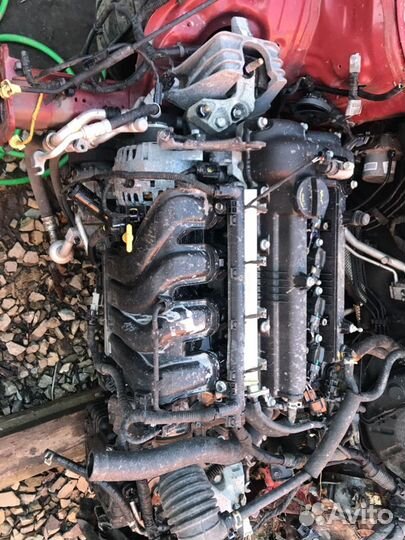 Двигатель на kia ceed