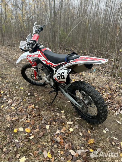 BSE Z5