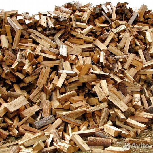 Дрова с Приморска