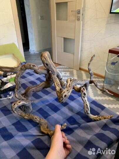 Коряга в террариум аквариум