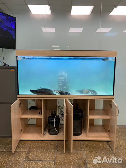 Аквариум 500 литров с LED-освещением беленый дуб