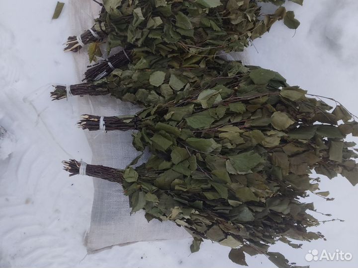 Веники березовые
