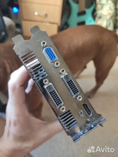 Видеокарта asus gtx 750 ti 2 gb