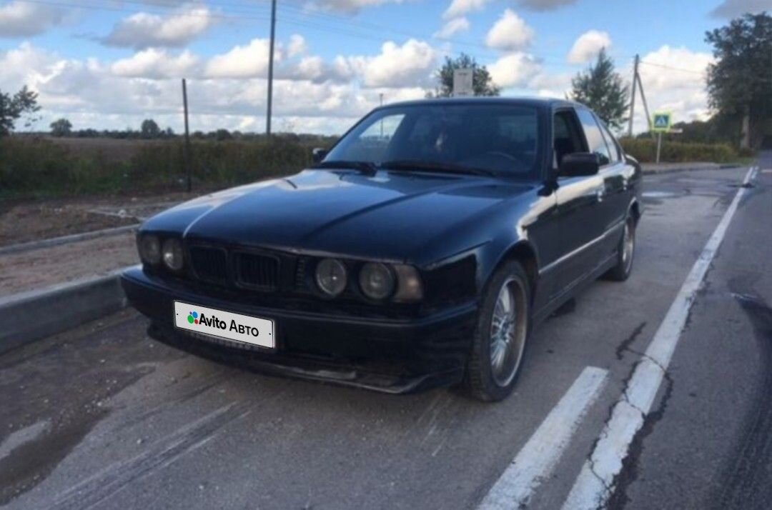 BMW 5 серия: фото владельца
