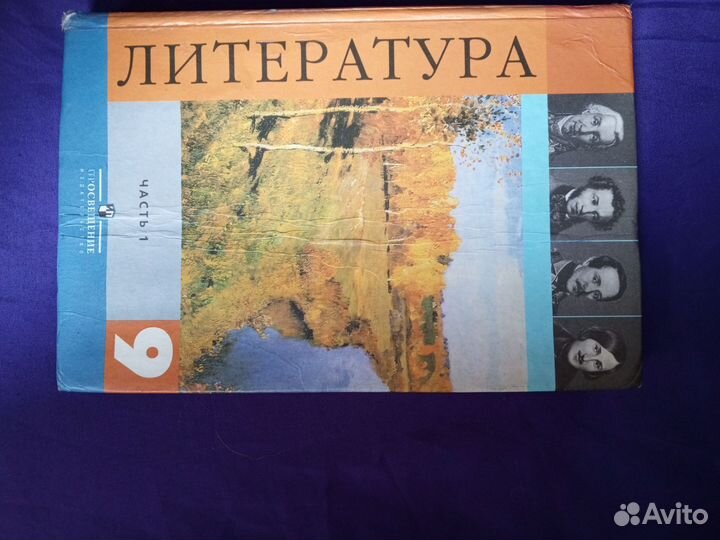 Учебники 9 класс литература В. Я. Коровина