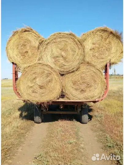 Сено в тюках
