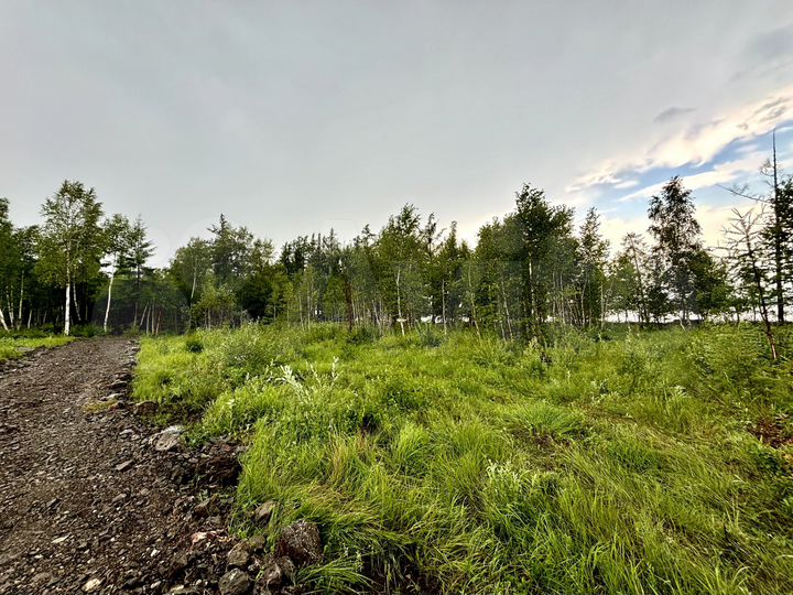 Участок 10 сот. (СНТ, ДНП)