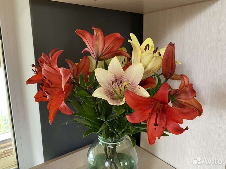 Цветы на срезку / для букетов, композиций