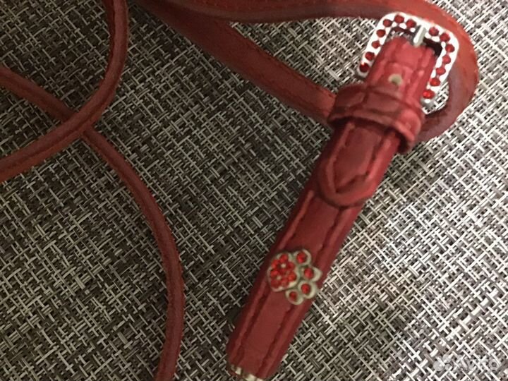 Одежда для собак мелких пород до 2,5 кг