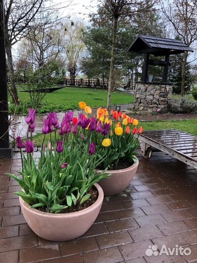 Горшки цветочные кашпо