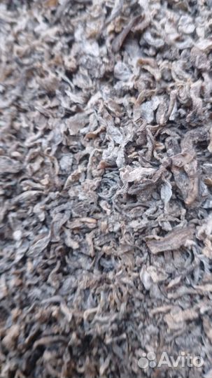 Жом свекловичный стружка