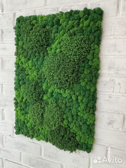 Панели из стабилизированного мха