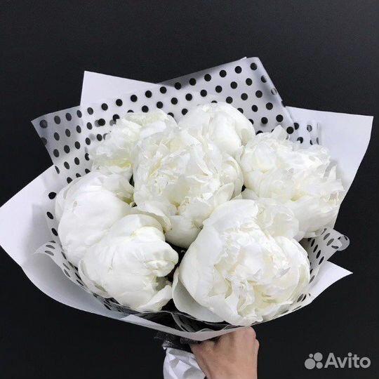 Пионы белые