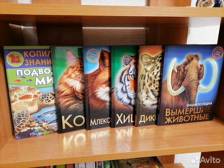 Книги энциклопедии