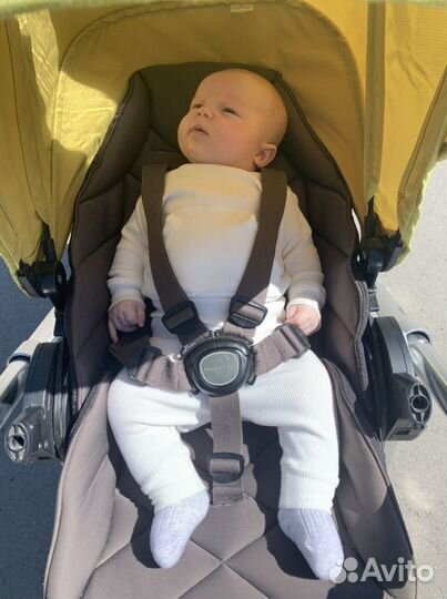 Коляска Mamas & Papas Urbo