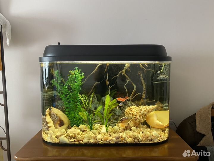 Аквариум для рыбок 85л