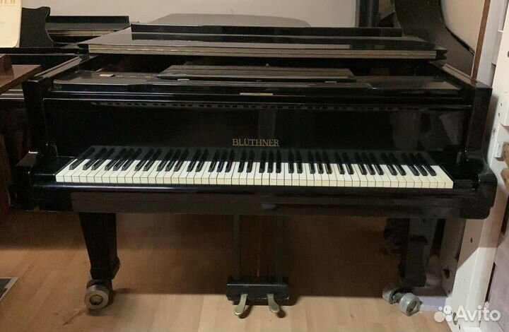 Рояль Bluthner