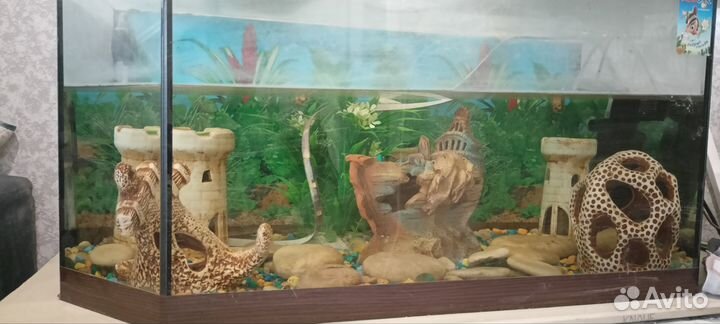 Аквариум 60л