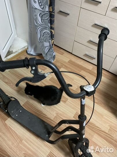 Самокат взрослый